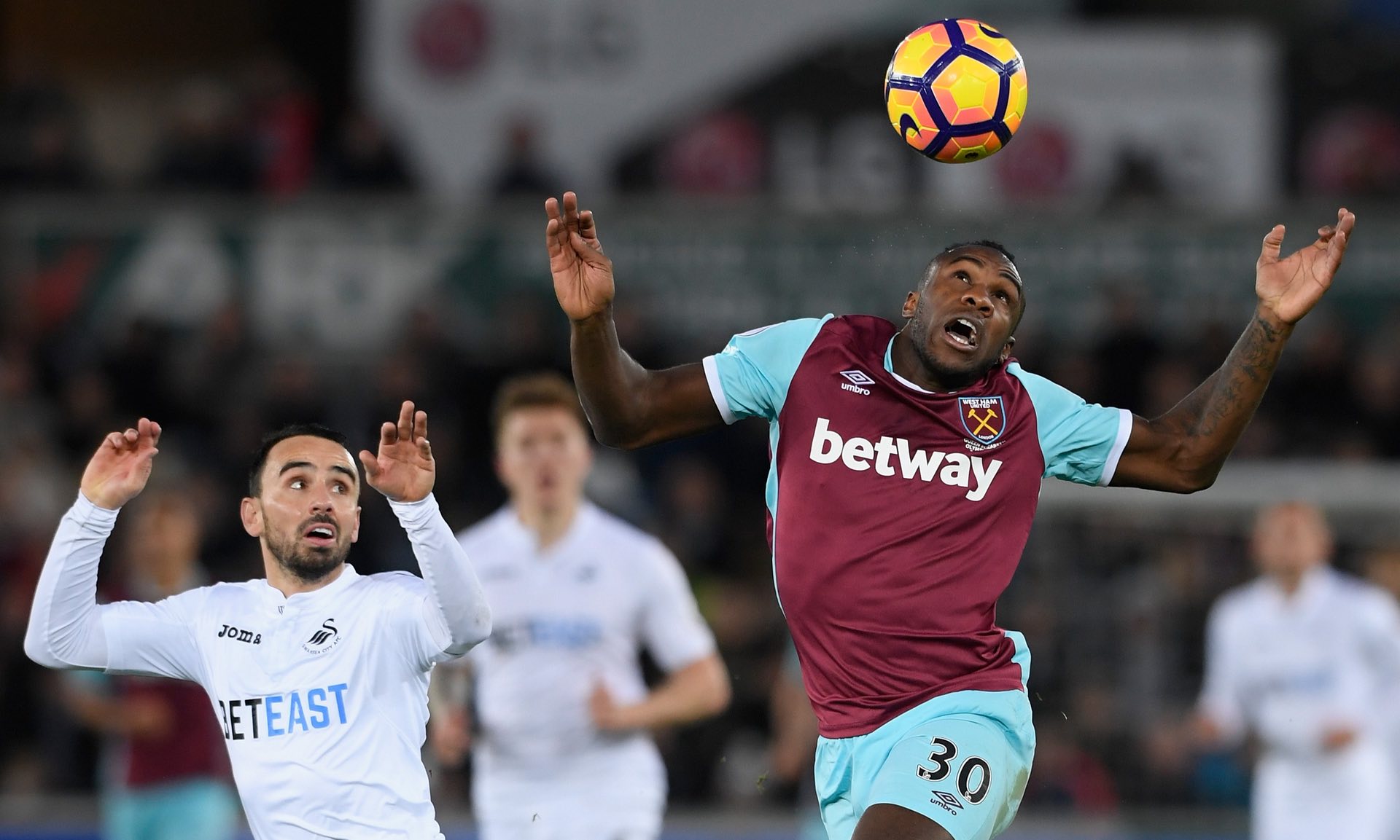 追求科內也 追求科內也